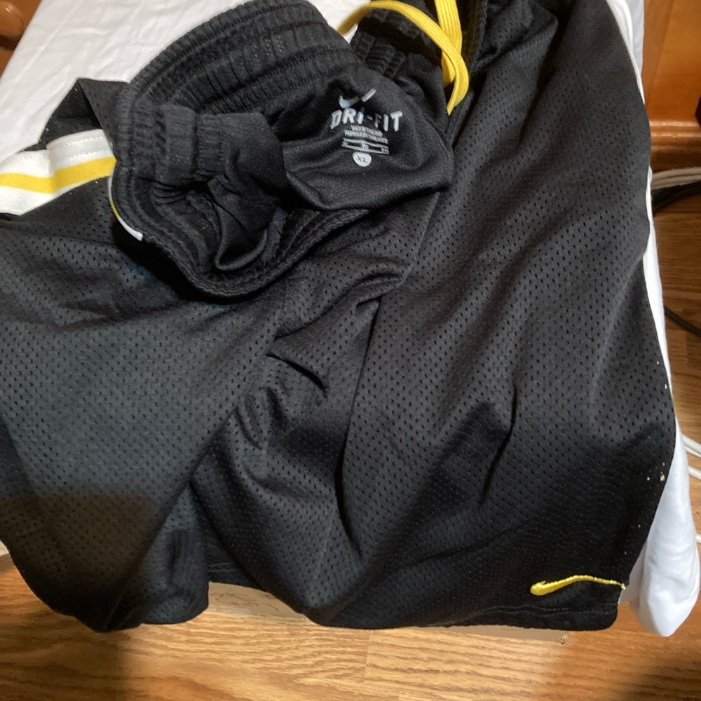 Nike drifit shorts
